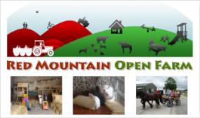 Family Ticket (Up to 5 People) to the Easter Event at Red Mountain Open Farm, Drogheda
