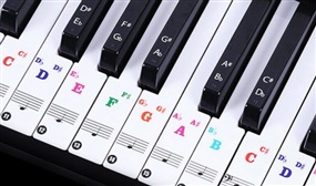 Transparent Removeable Piano Keyboard Stickers for Beginners