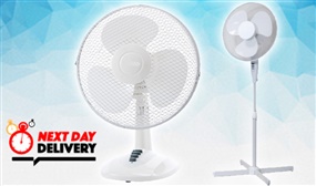 Desk or Pedestal Cooling Fans with Express Delivery