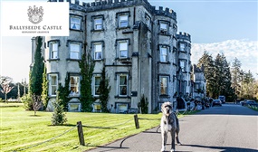 1 or 2 Night Castle Escape to Ballyseede Castle, Tralee, Co. Kerry