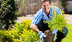 Certified Garden Maintenance Diploma