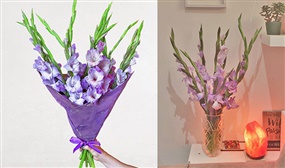 Bouquet of Seasonal Blooms - Limited Edition Purple Gladiolus