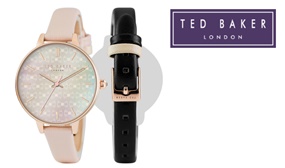 Ted Baker Watch - TE50013001