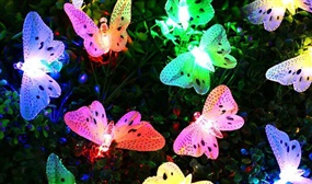 Pack of 12 LED Solar Powered Butterfly Lights