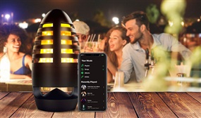 Flickering Flame Outdoor or Indoor Bluetooth Speaker