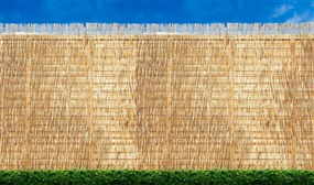 Natural Reed Garden Fence Screen - 4 Sizes