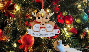 2021 DIY Personalised Novelty Reindeer Family Christmas Decorations