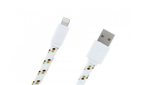 iPhone & iPad Charging Cable with Lightning Connector