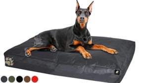 Odour & Hair Resistant Elephant Dog Beds - Small & Large Sizes