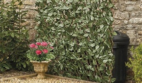 Expandable 2m Artificial Ivy Hedge Trellis