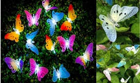 Pack of 12 LED Solar Powered Butterfly Lights