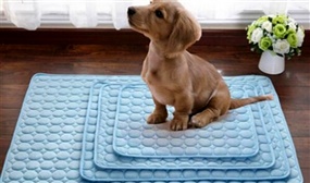 Pet Cooling Gel Mat in 4 Sizes 