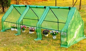 PVC Transparent Steel Frame Greenhouse in 2 Designs