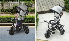 Toddlers 2-in-1 Tricycle Stroller