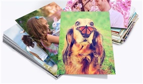 Bundle of Photo Prints