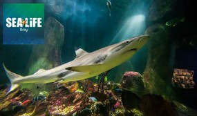 Family ticket (2 adults 2 children) for the fantastic SEA LIFE, Bray 