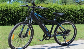 250W Electric Bikes