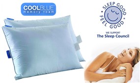 CoolBlue™ Memory Foam Cooling Pillows from €40.99