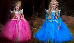 Sleeping Beauty Princess Dress - Ages: 3-9 Years