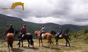 60-Minute Horse Riding Adventure Experience with Wicklow Equi Tours