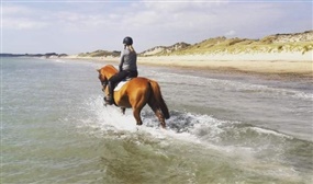 Beach Horse Riding at Brittas Bay for 1 or 2 People