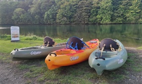 2-Hour Kayaking Experience in Wicklow