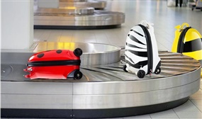 Kids Electric Remote Control Suitcase with Various Style Options