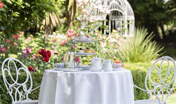 Enjoy a relaxing Facial or Massage at the Headfort Sparooms including a Sparkling Afternoon Tea