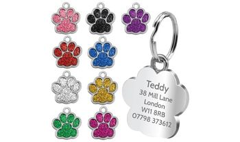 Personalised Engraved Pet Tag - Range of Colours