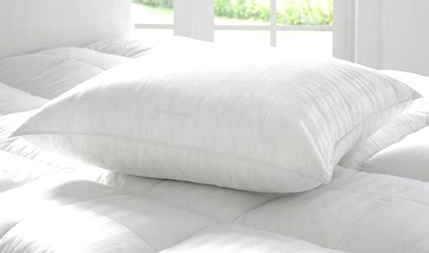 Ultrafibre Large European Pillows Save Up To 54 Pigsback Com