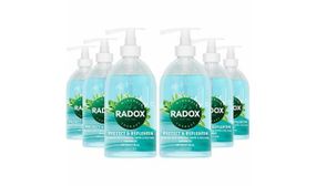 3 or 6 Pack of Radox Hand Wash