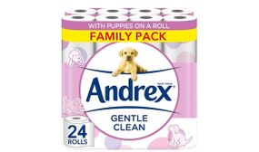 Multibuy: Andrex Toilet Roll Gentle Clean Fragrance Free 2Ply Toilet Paper - 24 Rolls