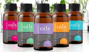 Pack of 6 Essential Oils 