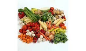 Vegetable Seed Bumper Pack ( Pack of 10 Vegatables)