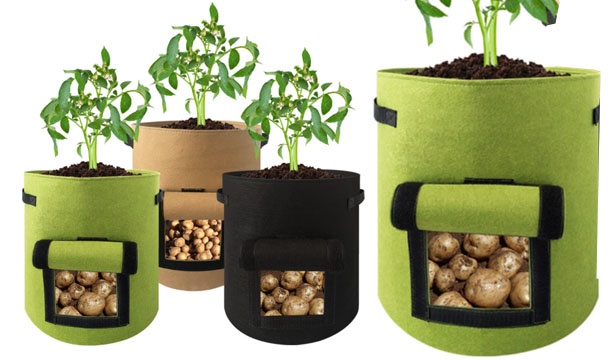 €6.99 for a Vegetable Planting Bag with Side Window 