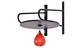 Boxing Speed Bag