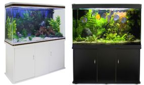 300L Aquarium and Cabinet in 2 Colours