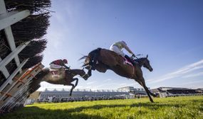 Punchestown Festival Choice Admission Ticket valid Tues 30th Apr - Thurs 2nd May 2024