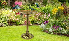 Brass Effect Ornate Bird Bath