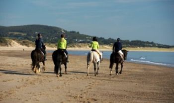 60-Minute Horse Riding Adventure Experience for 1 or 2 People at Wicklow EquiTours