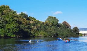 2-Hour Scenic Kayaking Experience in Wicklow