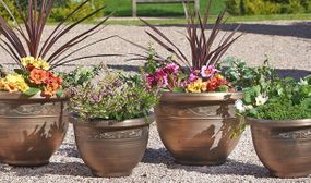 Pack of Four Antique Style Wenlock Planters 